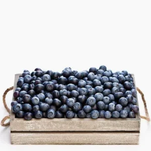Blueberry Organic - Peru, 1 Pack