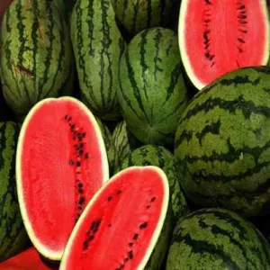 Indian Watermelon 3kg